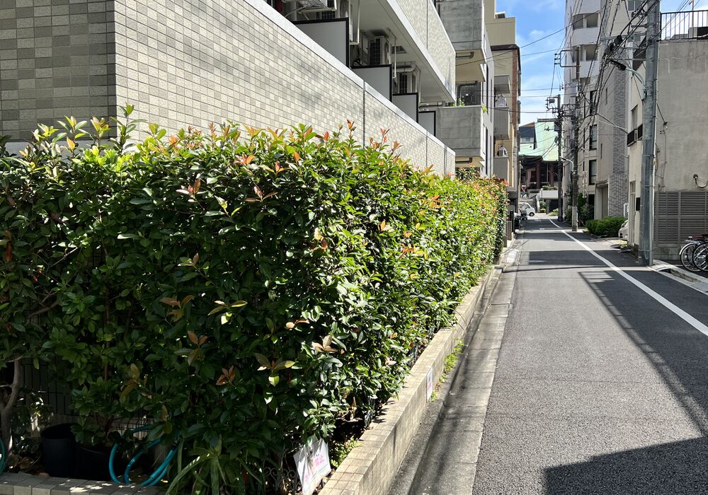 前面道路
